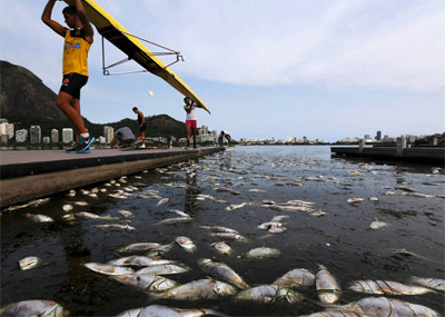 12个月后这里将举办奥运会