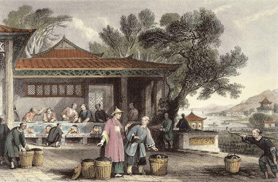 中国人口老龄化_18世纪中国人口