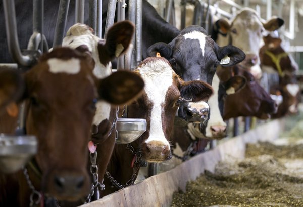 TPP谈判陷僵局 12个国家各自都在纠结什么问