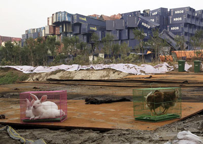 天津：动物活体被放入爆炸核心区检测生存质量