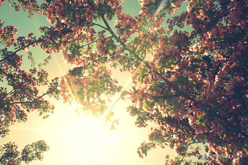 算命术为何能预测人生轨迹?_凤凰星座