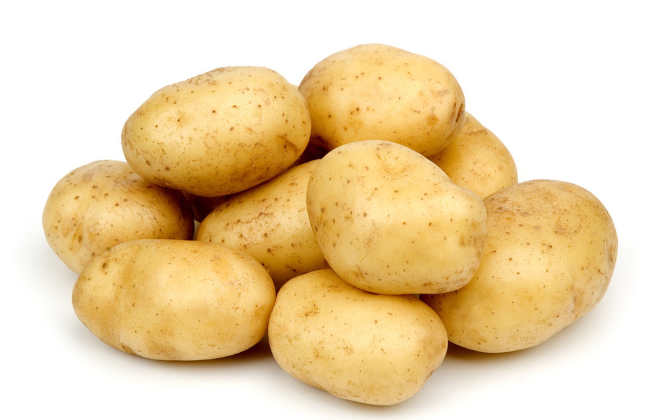 大连土豆|大连马铃薯|大连种子-大连厚记种业有限公司