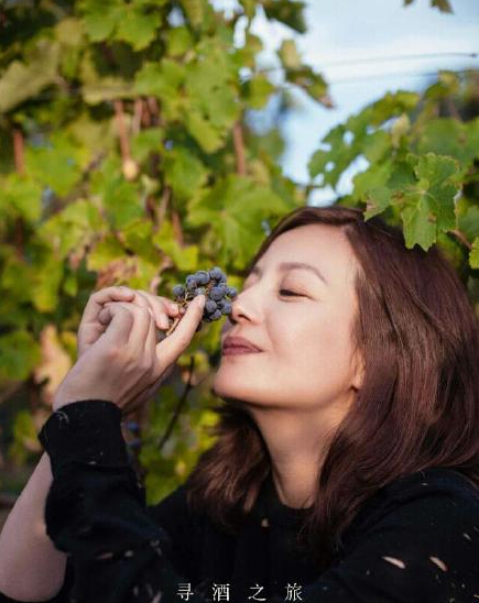 赵薇酒庄经销商遭假冒 提醒大家切勿上当受骗_凤凰娱乐