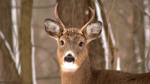 阮次山:中国在南海未设防空识别区是留一手-2