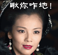 芈月传未播先火刘涛称霸表情包界