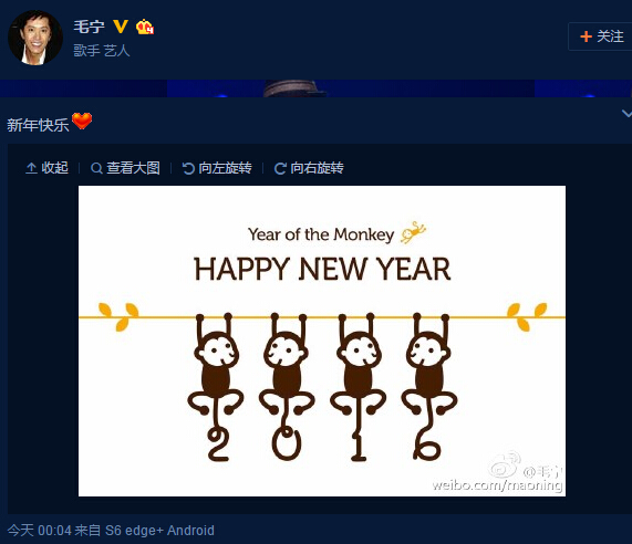 毛宁涉毒获释后首度开腔：新年快乐(组图)