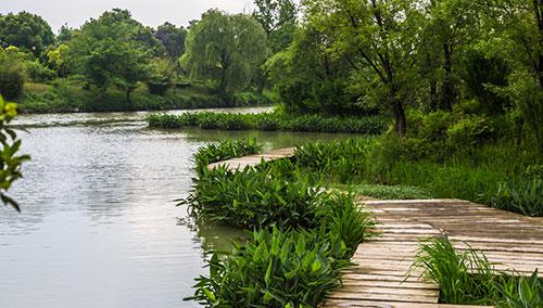 湿地保护:科学性保护和合理利用湿地资源|湿地