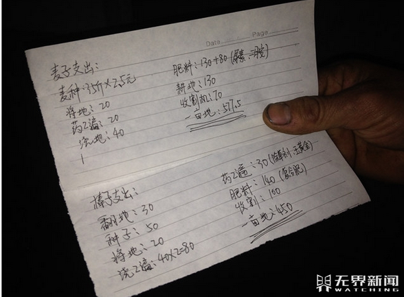 农户发现迷你鸡蛋_农户全年总收入