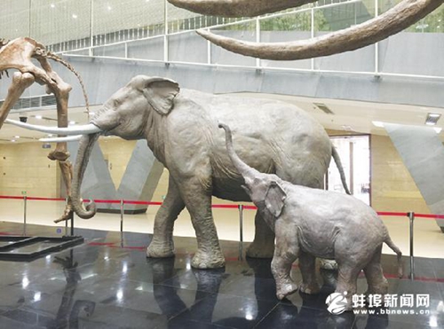图片版权归原作者所有