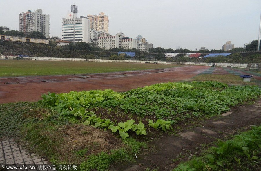 早在90年代，中国足球的场地状况就引起了圈内人的不满，比如已经荒废的重庆大田湾球场，在投入使用时就引起过各队的不满，如今已经彻彻底底沦为了菜地。