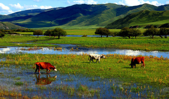 征集阿尔山旅游形象宣传推广语