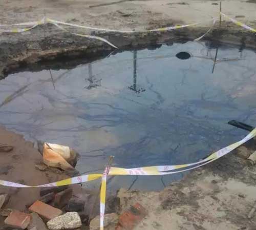 靖江一养猪场地下被指埋毒万吨 上市公司拒担