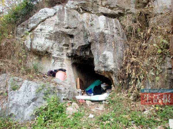 广西来宾数位老人住河边洞穴不愿回家(图)