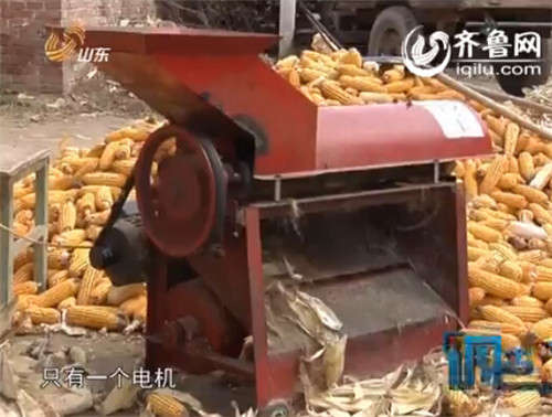 村民用的玉米剥皮机装置简单（视频截图）