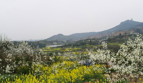 距成都南40多公里的新津县梨花溪风景区