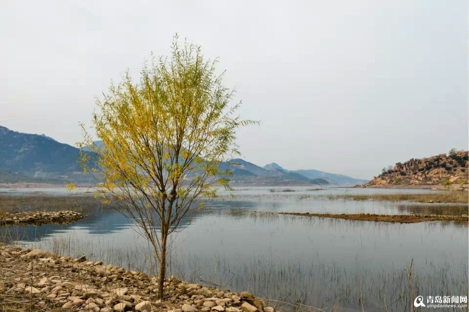 高清:晒白沙河湿地秋日圣景 恬淡静谧似仙境