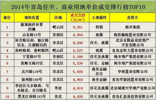 青岛房地产公司排名_青岛开发区小学排名(2)
