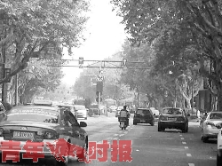 燈箭頭顯示可通行，是指過了龍門架后的潮汐車道才可通行。 