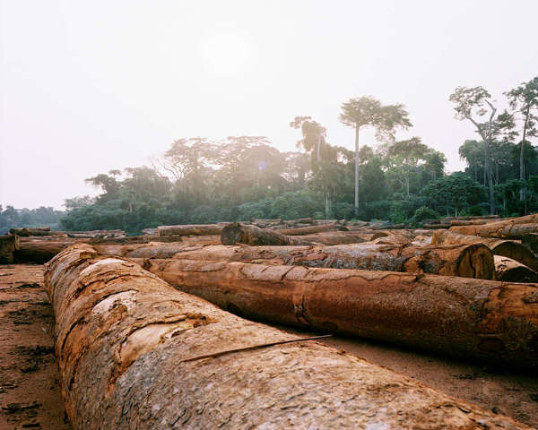 原始部落 热带雨林 无家可归/近年来，砍伐森林、战争及农民将森林占为耕地已经严重损害了...