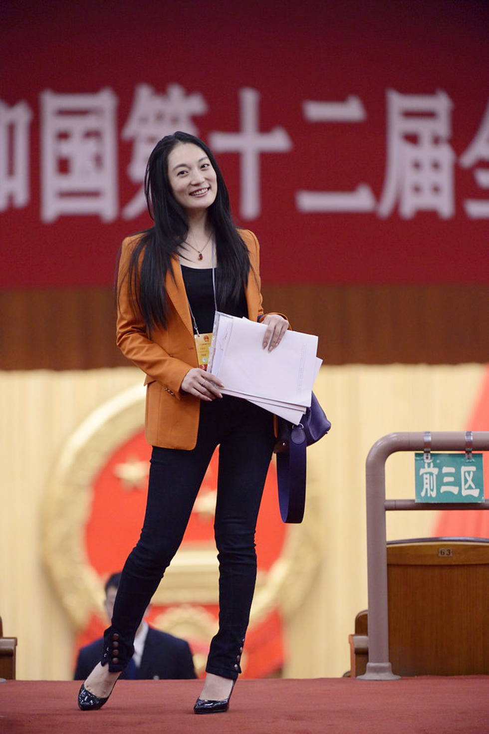 两会inpictures第四期:\气质姐\