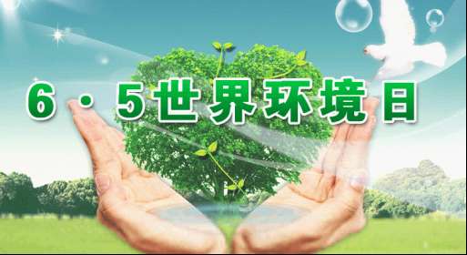 世界环境日 TCL空调打造健康空气助力环境保护_厦门频道_凤凰网