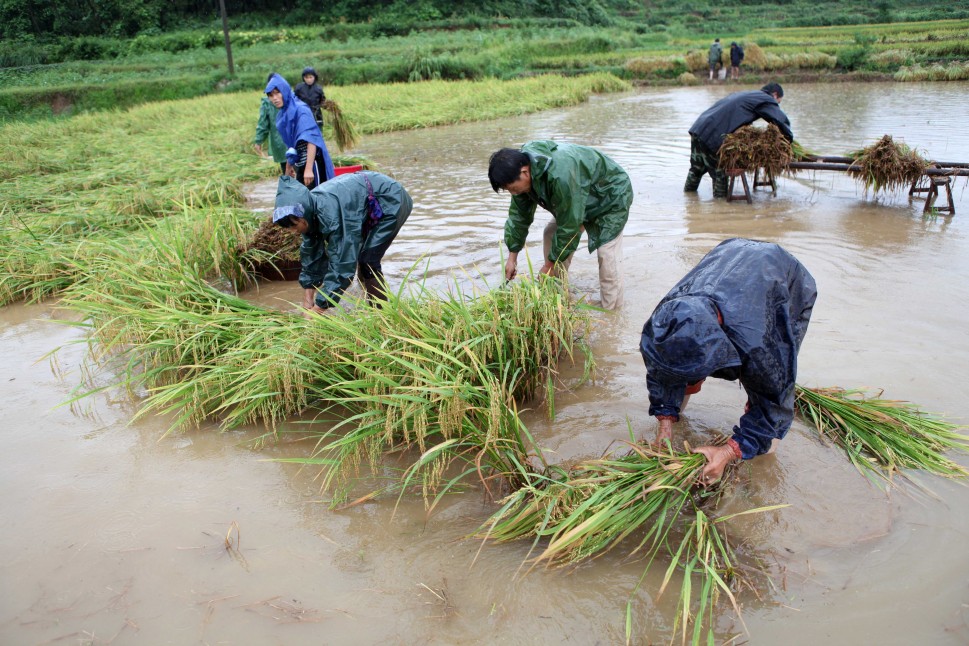 图览全国各地暴雨洪涝灾害情况