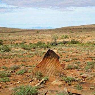 美国一家四口吃早餐消失 女子家中拍到诡异人