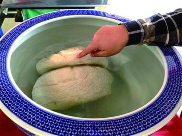  老人挖出雪白太岁  被火锅店老板以50万元高价