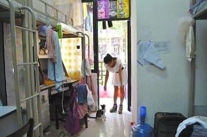 挑灯夜读游戏作战定格大学生宿舍真实生活点滴