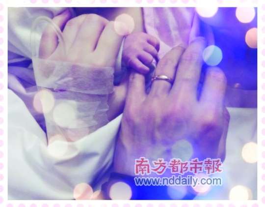 李小璐昨日产女,贾乃亮在微博上传了一家3口的握手照