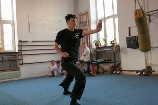 张震 八极拳图片