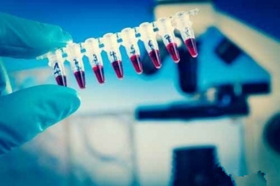 世界上有美人鱼吗_有老鼠牌铅笔吗手抄报_研究生有收入吗