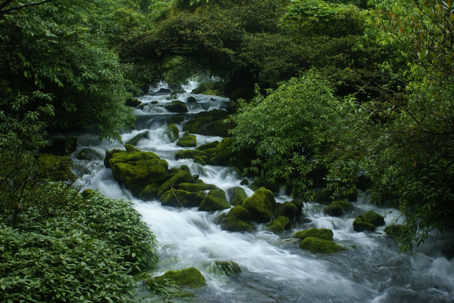 组图:茂兰国家级自然保护区
