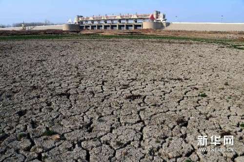 （晚报）（1）山东旱情持续274座水库干涸157条河道断流
