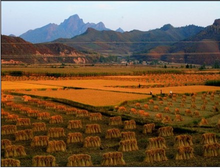 你为什么比我穷?--深圳闲人的博客