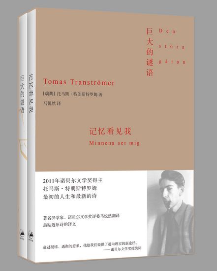 翻译中文作品不为诺奖为同胞