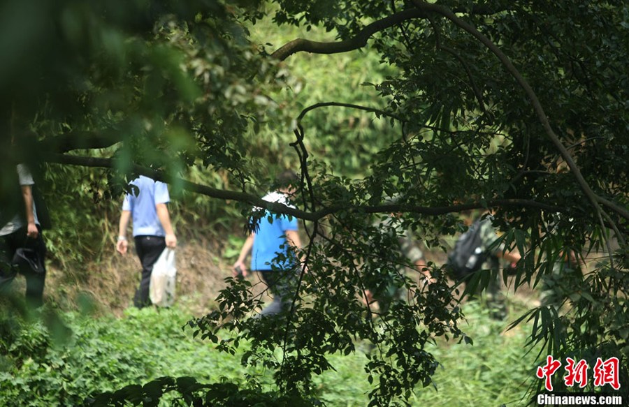 “8.10”持枪抢劫案发后，重庆警方在沙坪坝歌乐山一带展开搜捕行动，追捕抢劫案疑犯周克华。目前，行动已进入第四天。重庆“8·10”持枪抢劫案发生后，重庆警察已全体停止休假。对于具体的出警人数，重庆市公安局没有对外公布。但据歌乐山附近的居民说，仅在井口镇、歌乐山一带，起码聚集了万余名警力。目前，搜捕仍在持续。图为便衣警察在深山里巡查犯罪嫌疑人。

