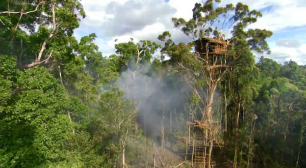 离地高达几十米 探访世界唯一居住树屋的村落