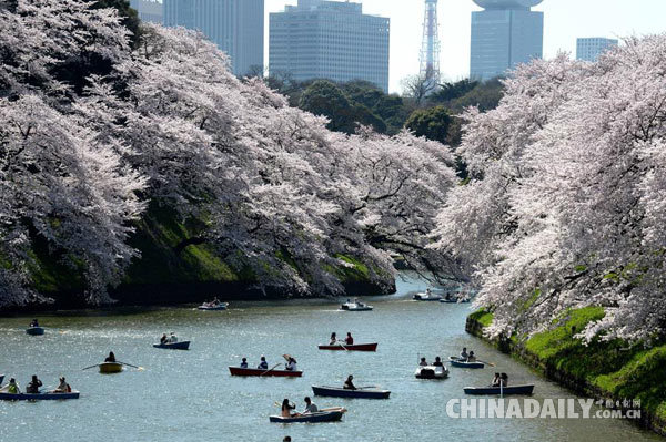 日本静冈靠中国游客数量猛增 爆买助其扭亏为
