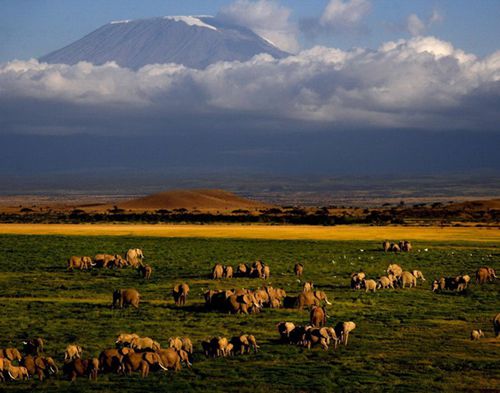 探访非洲屋脊 观赏独特的赤道雪山奇观_山东频道_凤凰网