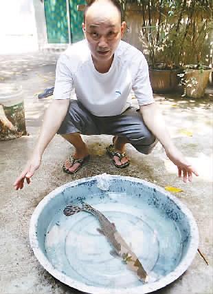 怪鱼被丢垃圾桶:满嘴利牙会装死 咬伤环卫工