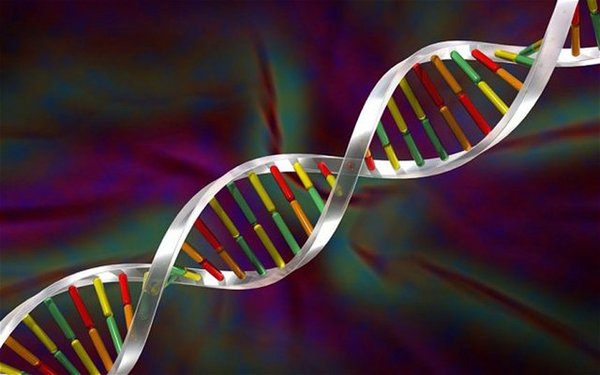 科学家发现在DNA之前还存在一个RNA世界，RNA被认为是“多才多艺”的遗传信息载体