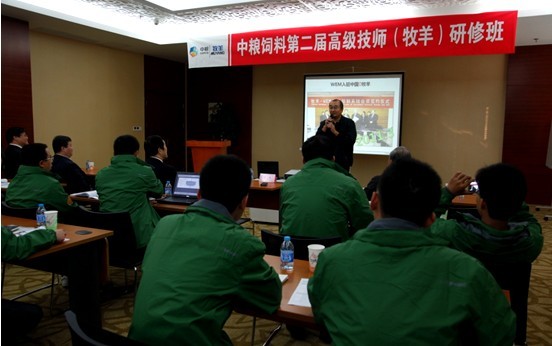 牧羊有限国标级五星培训服务 赢得中粮客户五