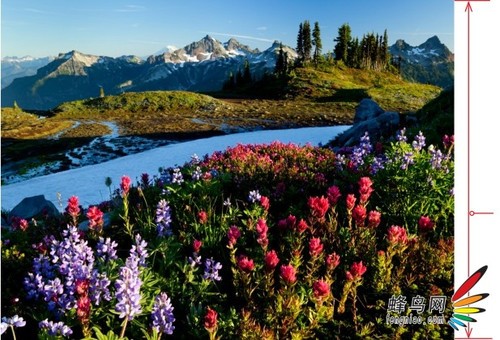 明显改善画质的方法如何控制景深_科技频道_凤