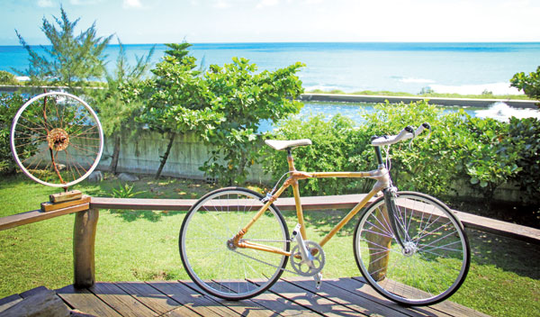 做一辆竹子自行车环游台湾|竹子|南投