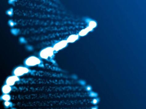 沙特制定人类基因组计划 研究地区性和慢性疾