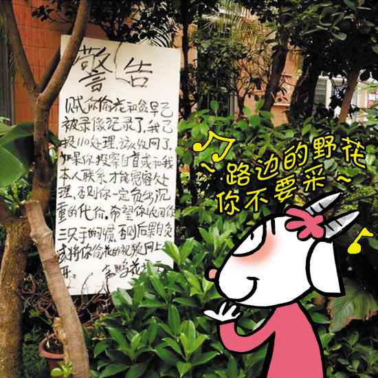 偷花贼