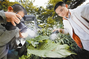 李炎才和助手在野外拍昆虫。