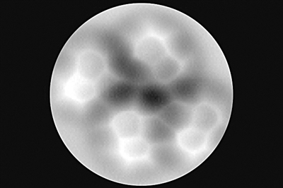 年度图片 透明大脑|通古斯|科学家