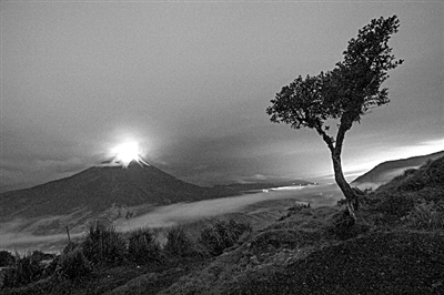 年度图片 透明大脑|通古斯|科学家